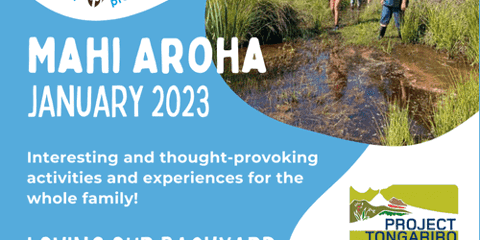 Mahi Aroha Summer Programme
